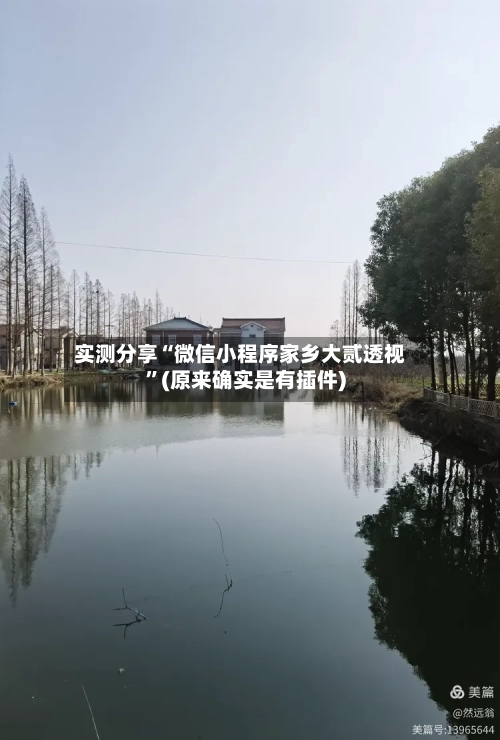 实测分享“微信小程序家乡大贰透视”(原来确实是有插件)-第3张图片