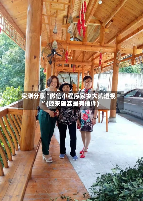 实测分享“微信小程序家乡大贰透视	”(原来确实是有插件)-第2张图片