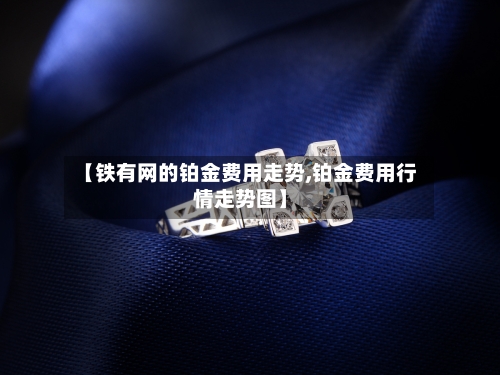 【铁有网的铂金费用走势,铂金费用行情走势图】-第3张图片