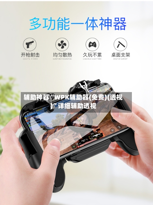 辅助神器“WPK辅助器(免费)(透视)”详细辅助透视-第2张图片