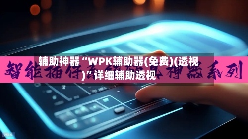 辅助神器“WPK辅助器(免费)(透视)	”详细辅助透视-第3张图片
