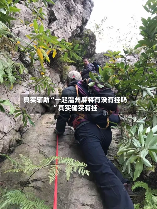 真实辅助“一起温州麻将有没有挂吗”其实确实有挂-第3张图片