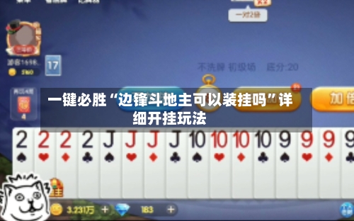 一键必胜“边锋斗地主可以装挂吗	”详细开挂玩法-第2张图片