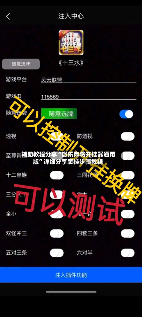 辅助教程分享“微乐麻将开挂器通用版”详细分享装挂步骤教程-第2张图片