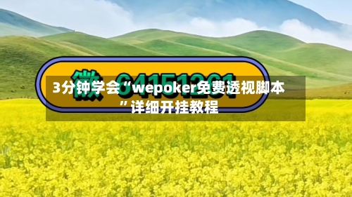 3分钟学会“wepoker免费透视脚本”详细开挂教程-第2张图片