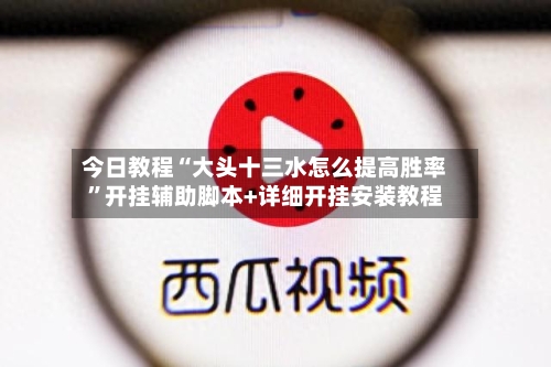 今日教程“大头十三水怎么提高胜率”开挂辅助脚本+详细开挂安装教程-第2张图片