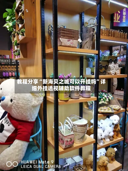 教程分享“新海贝之城可以开挂吗”详细外挂透视辅助软件教程-第2张图片