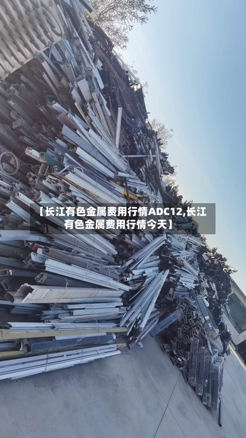 【长江有色金属费用行情ADC12,长江有色金属费用行情今天】-第2张图片