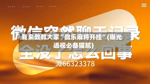 我来教教大家“微乐麻将开挂”(曝光透视必备猫腻)-第2张图片