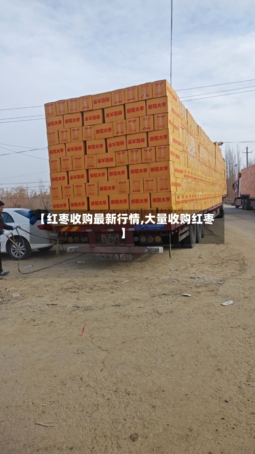 【红枣收购最新行情,大量收购红枣】