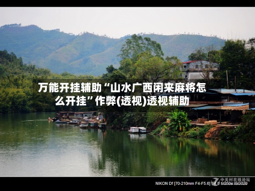 万能开挂辅助“山水广西闲来麻将怎么开挂”作弊(透视)透视辅助-第2张图片