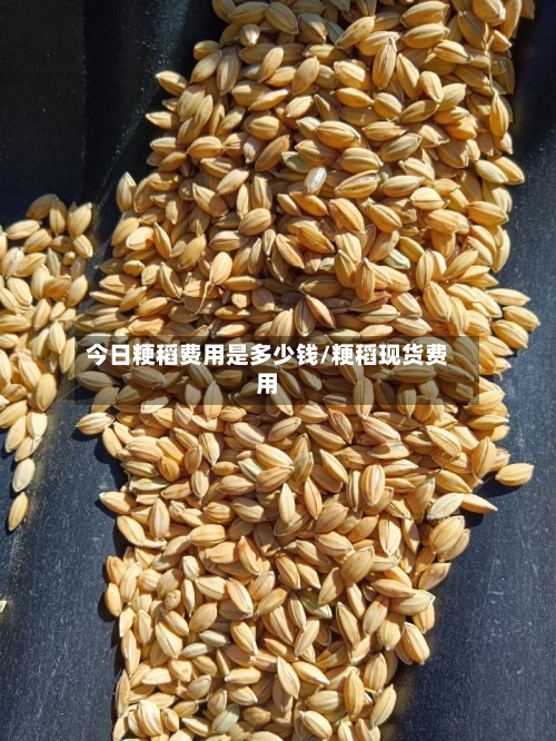 今日粳稻费用是多少钱/粳稻现货费用-第3张图片