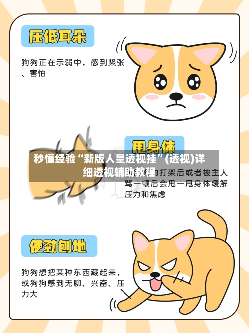 秒懂经验“新版人皇透视挂”(透视)详细透视辅助教程