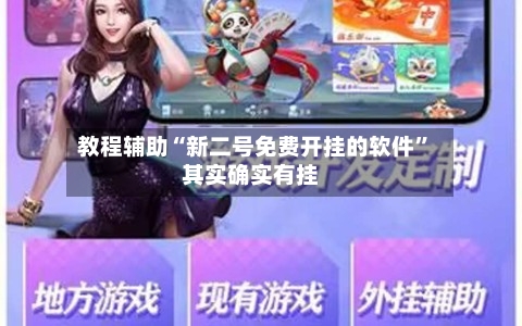 教程辅助“新二号免费开挂的软件”其实确实有挂-第3张图片