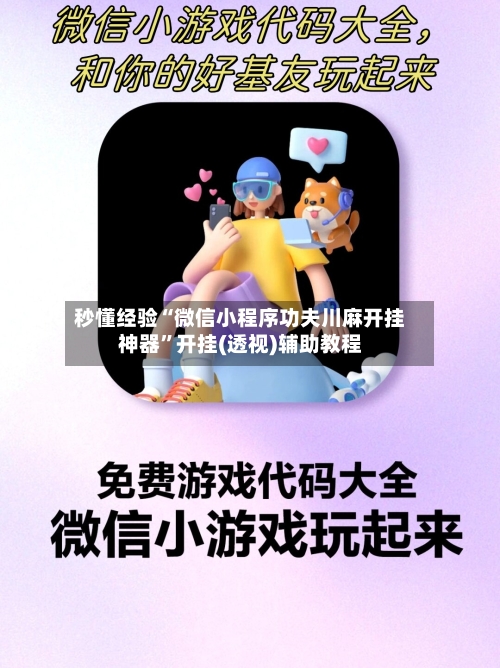秒懂经验“微信小程序功夫川麻开挂神器”开挂(透视)辅助教程-第3张图片