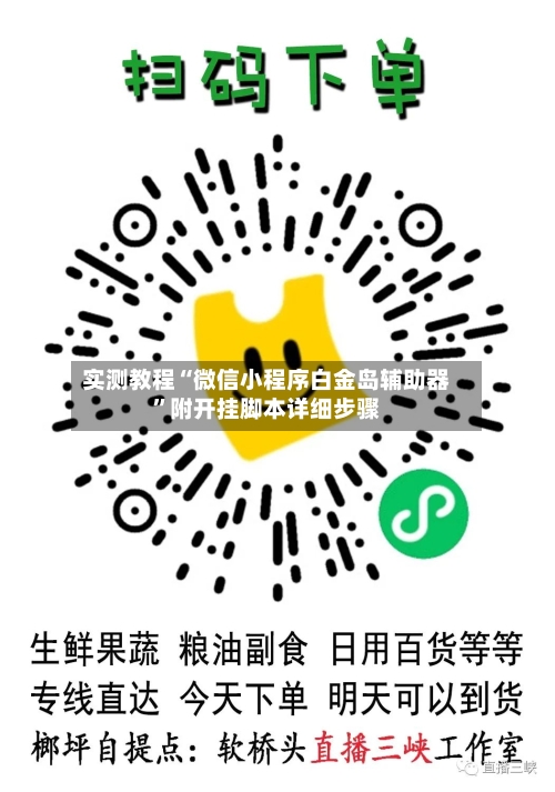 实测教程“微信小程序白金岛辅助器”附开挂脚本详细步骤