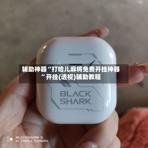 辅助神器“打哈儿麻将免费开挂神器”开挂(透视)辅助教程-第2张图片