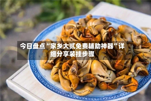 今日盘点“家乡大贰免费辅助神器”详细分享装挂步骤-第3张图片
