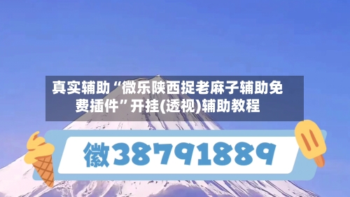 真实辅助“微乐陕西捉老麻子辅助免费插件	”开挂(透视)辅助教程-第2张图片