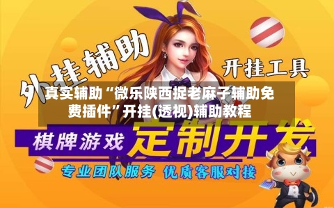 真实辅助“微乐陕西捉老麻子辅助免费插件”开挂(透视)辅助教程-第3张图片