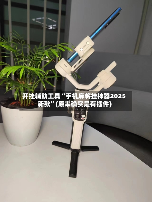 开挂辅助工具“手机麻将挂神器2025新款	”(原来确实是有插件)-第2张图片