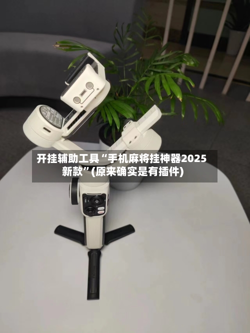 开挂辅助工具“手机麻将挂神器2025新款”(原来确实是有插件)