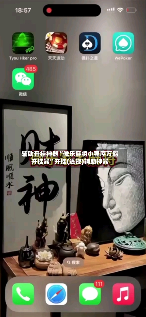 辅助开挂神器“微乐麻将小程序万能开挂器”开挂(透视)辅助神器-第2张图片