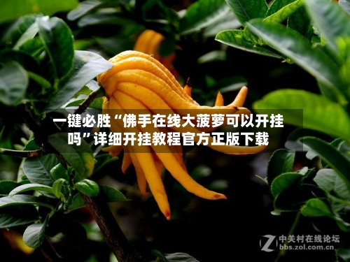 一键必胜“佛手在线大菠萝可以开挂吗”详细开挂教程官方正版下载