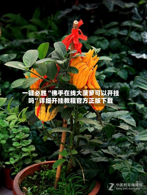 一键必胜“佛手在线大菠萝可以开挂吗”详细开挂教程官方正版下载-第2张图片