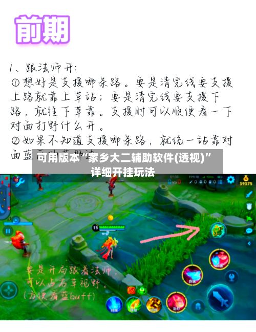 可用版本“家乡大二辅助软件(透视)”详细开挂玩法-第3张图片