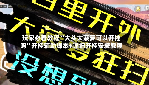 玩家必看教程“大头大菠萝可以开挂吗”开挂辅助脚本+详细开挂安装教程-第2张图片