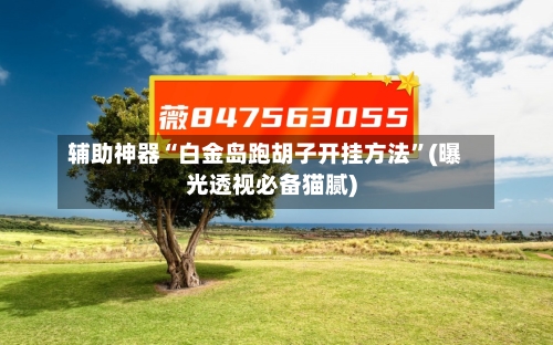 辅助神器“白金岛跑胡子开挂方法	”(曝光透视必备猫腻)-第2张图片