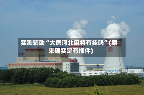 实测辅助“大唐河北麻将有挂吗”(原来确实是有插件)-第2张图片