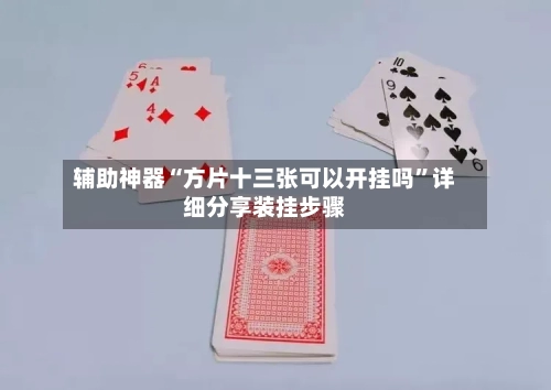 辅助神器“方片十三张可以开挂吗”详细分享装挂步骤-第3张图片