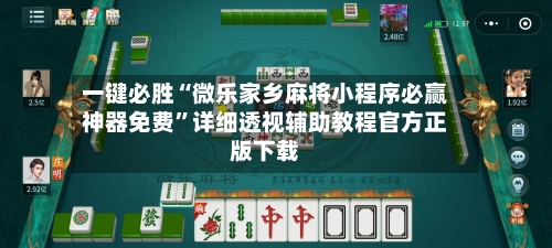一键必胜“微乐家乡麻将小程序必赢神器免费”详细透视辅助教程官方正版下载-第3张图片