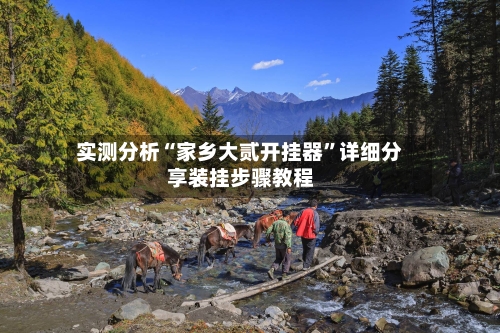 实测分析“家乡大贰开挂器”详细分享装挂步骤教程-第2张图片