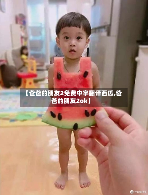 【爸爸的朋友2免费中字翻译西瓜,爸爸的朋友2ok】
