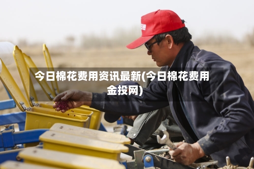今日棉花费用资讯最新(今日棉花费用金投网)-第1张图片