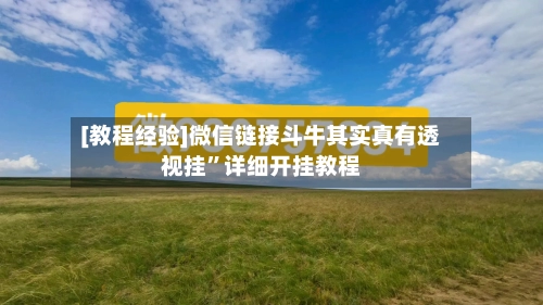 [教程经验]微信链接斗牛其实真有透视挂	”详细开挂教程-第3张图片