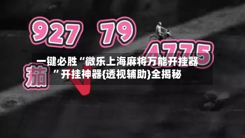 一键必胜“微乐上海麻将万能开挂器”开挂神器{透视辅助}全揭秘-第3张图片