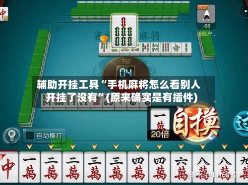辅助开挂工具“手机麻将怎么看别人开挂了没有”(原来确实是有插件)-第1张图片