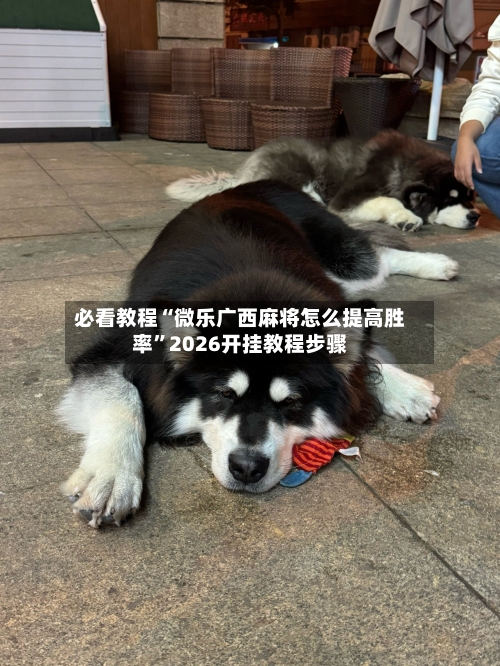 必看教程“微乐广西麻将怎么提高胜率”2026开挂教程步骤-第3张图片