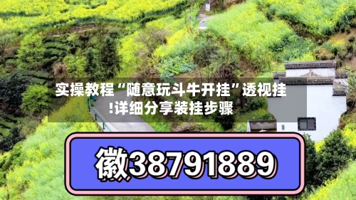 实操教程“随意玩斗牛开挂”透视挂!详细分享装挂步骤-第3张图片