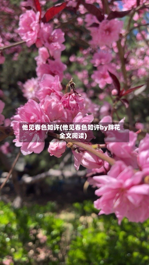 他见春色如许(他见春色如许by胖花全文阅读)