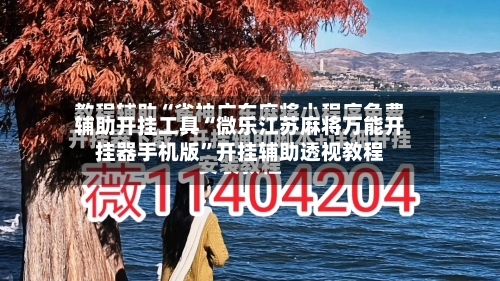 辅助开挂工具“微乐江苏麻将万能开挂器手机版”开挂辅助透视教程-第3张图片