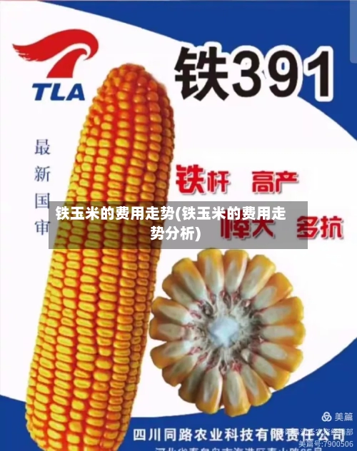 铁玉米的费用走势(铁玉米的费用走势分析)