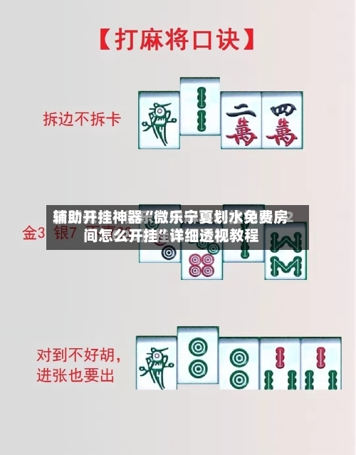 辅助开挂神器“微乐宁夏划水免费房间怎么开挂	”详细透视教程-第2张图片