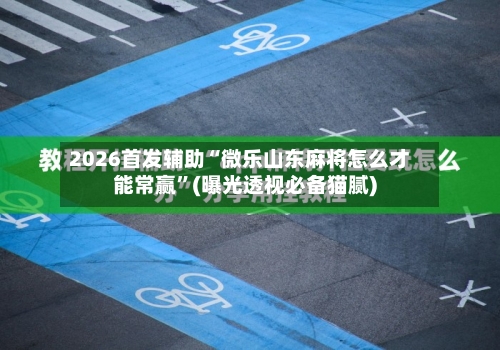 2026首发辅助“微乐山东麻将怎么才能常赢”(曝光透视必备猫腻)-第2张图片