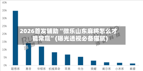 2026首发辅助“微乐山东麻将怎么才能常赢”(曝光透视必备猫腻)-第3张图片