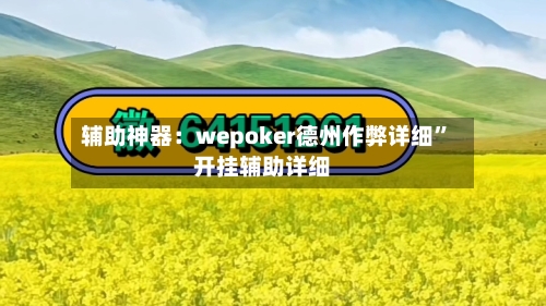 辅助神器：wepoker德州作弊详细	”开挂辅助详细-第3张图片